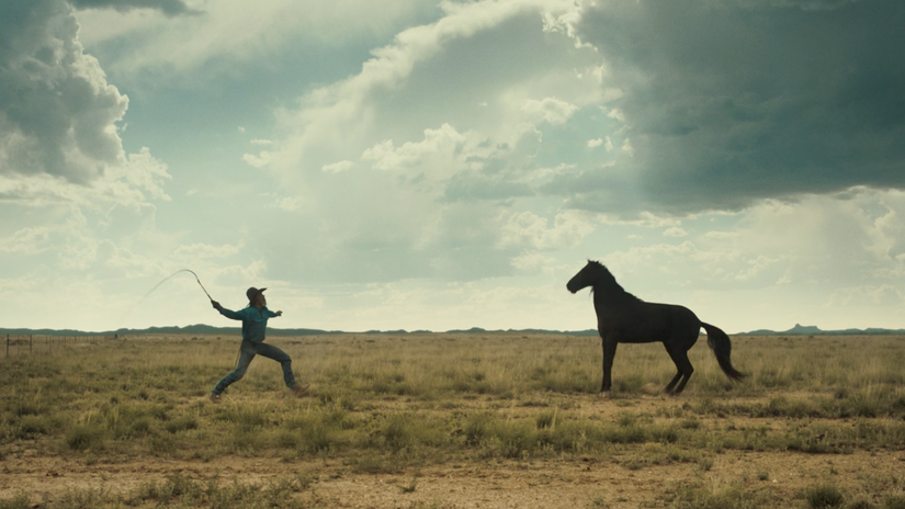 Wild Horses
